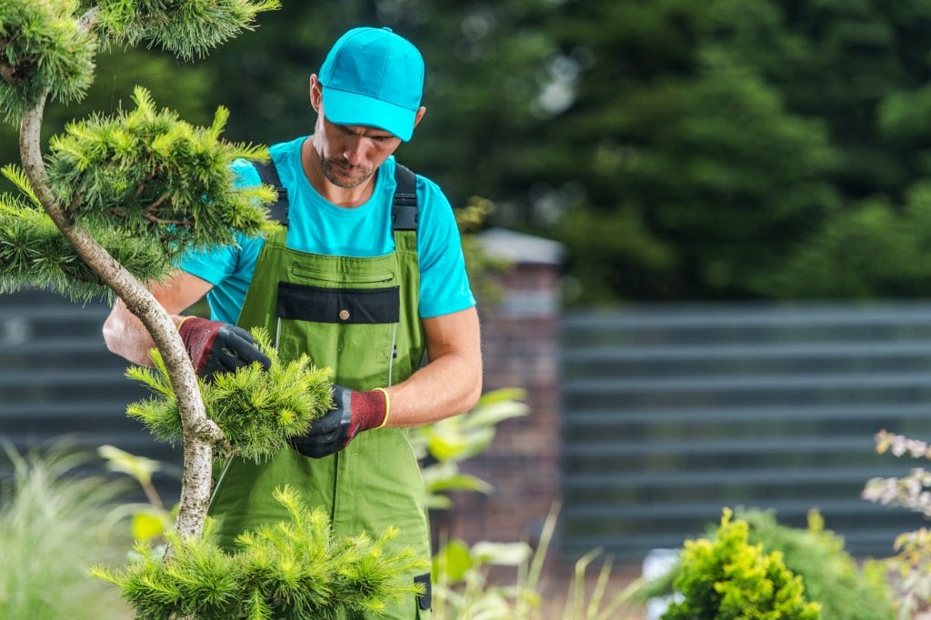 garden maintenance performed by pro gardener