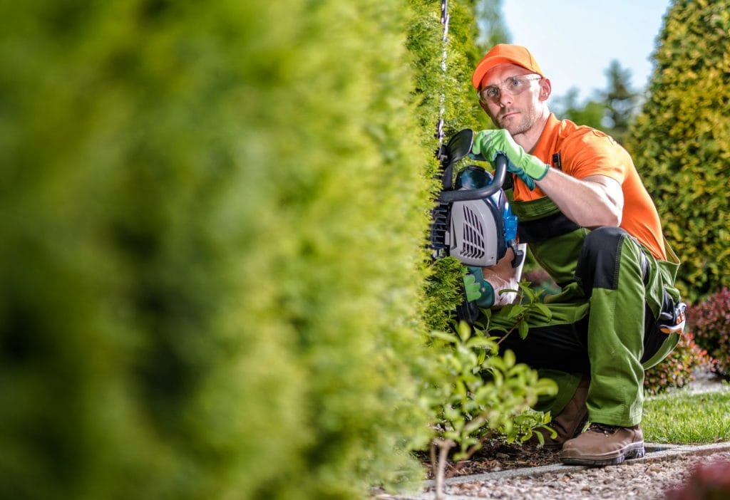 gardener with hedge trimmer e1635892441479