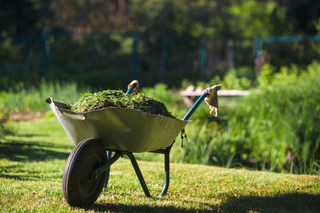 heavily used wheelbarrow full of mowed grass stand 2021 08 30 17 57 32 utc