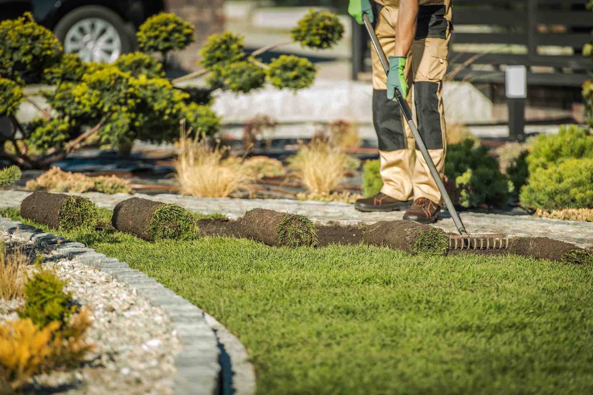 sod-installation