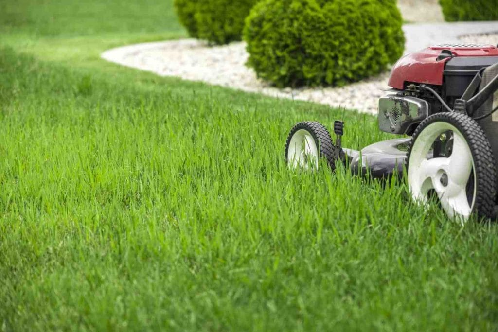 mowing lawn 2022 03 11 08 58 20 utc