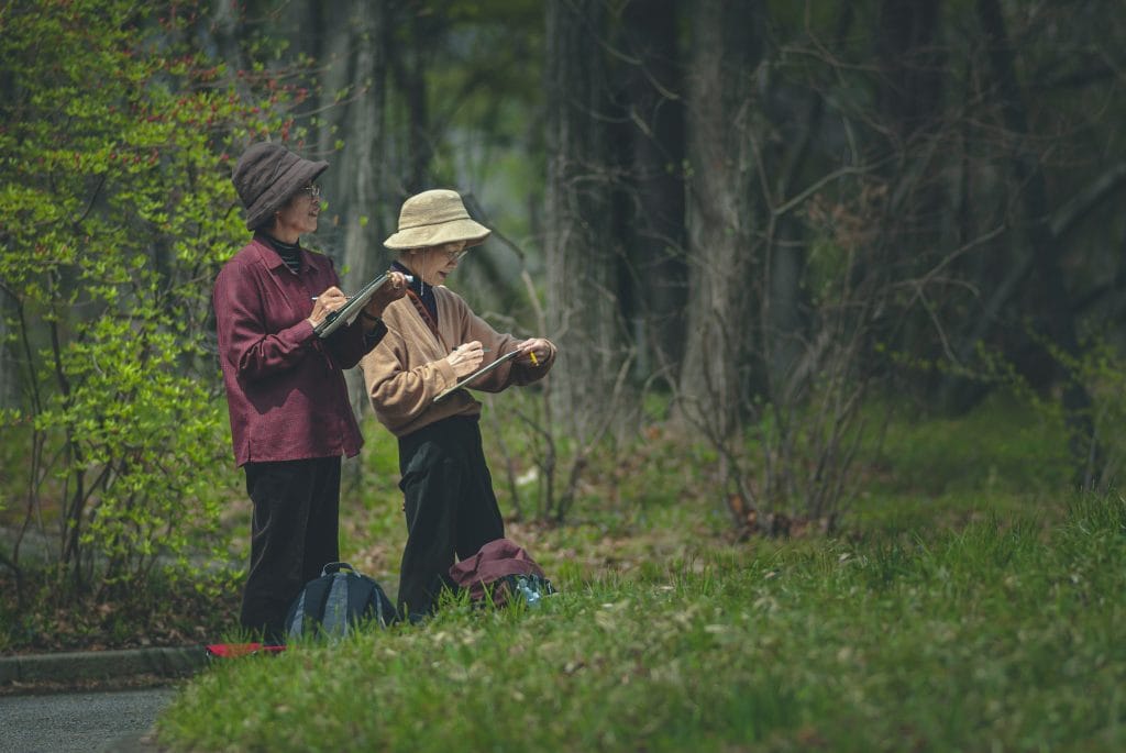 artists make sketches in the garden.