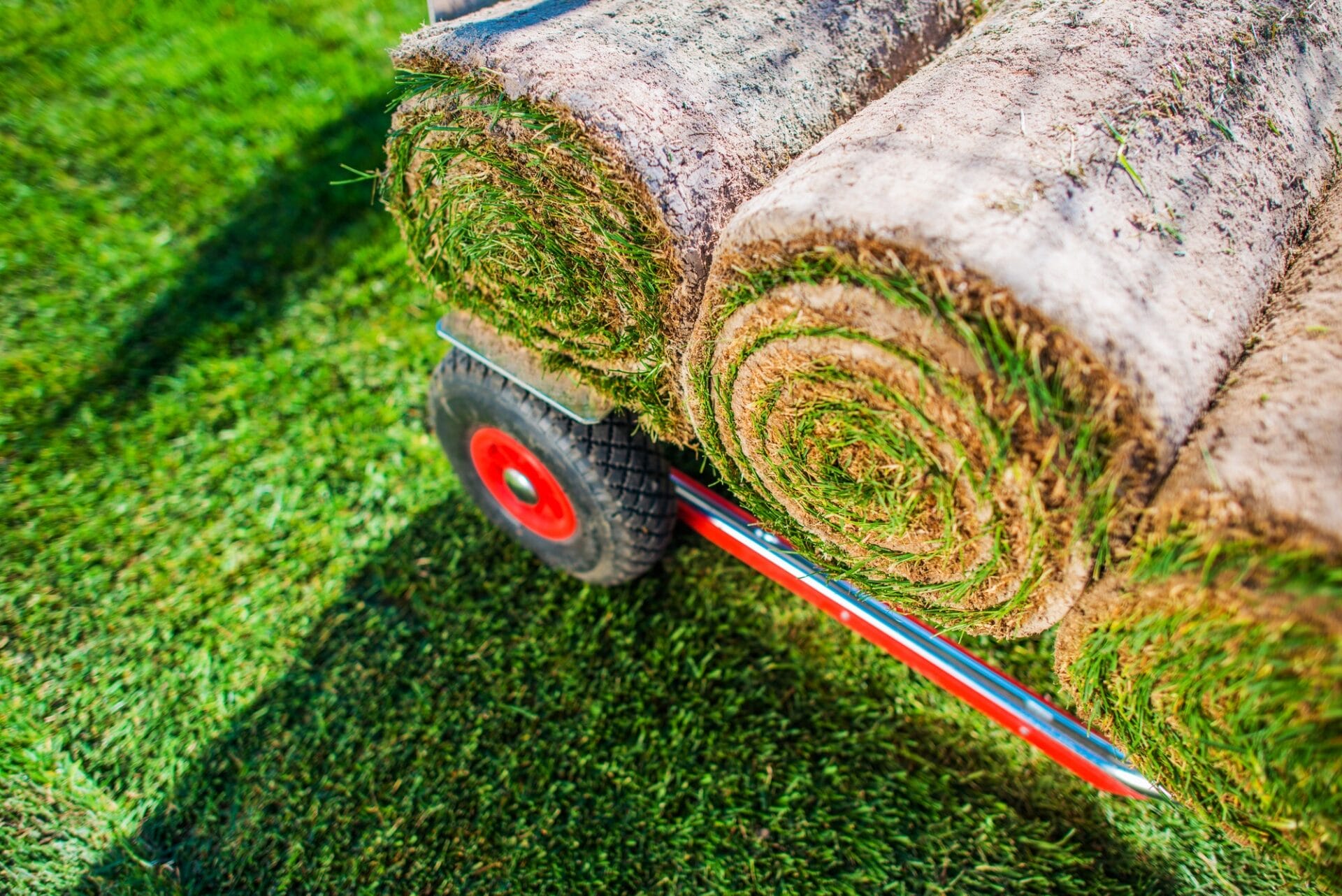 grass turf rolls