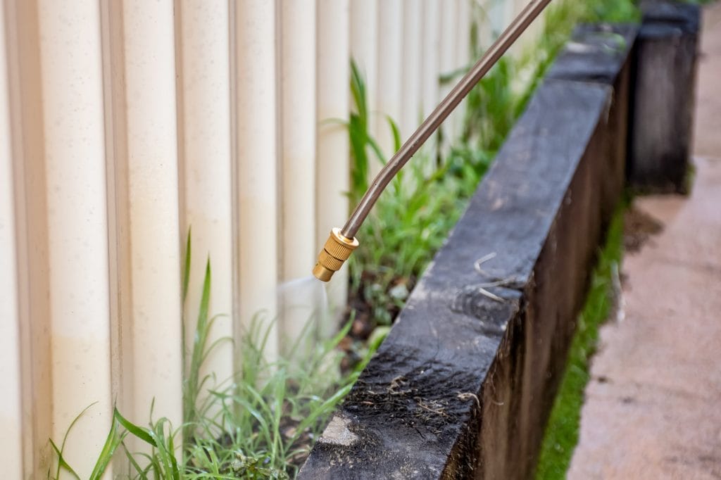 spraying weed killer herbicide to control unwanted plants on a backyard