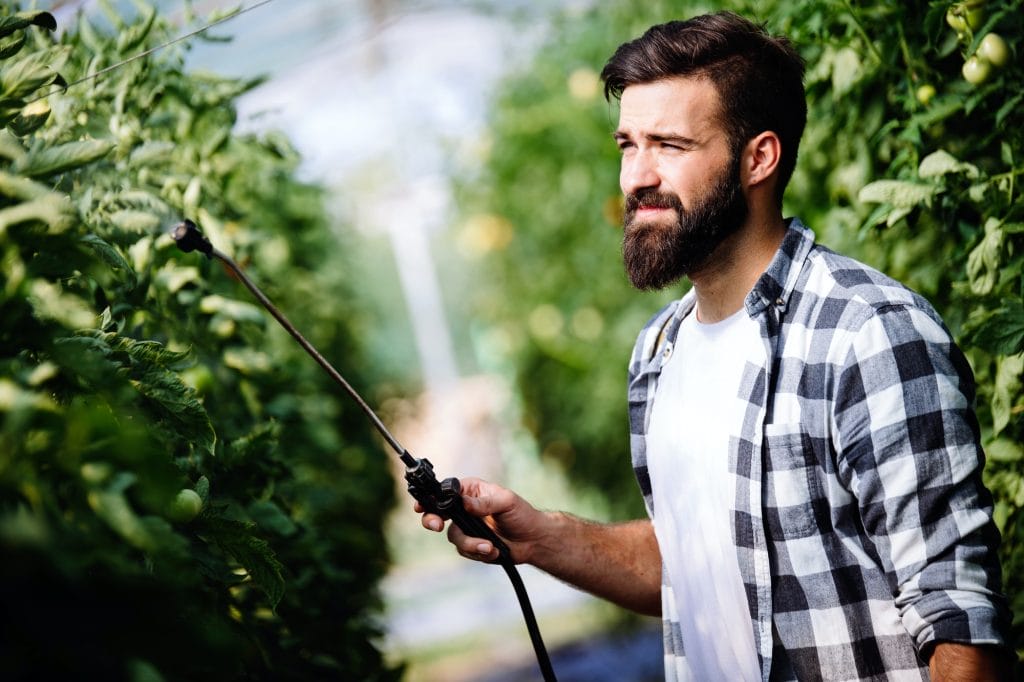 young farmer protecting his plants with chemicals