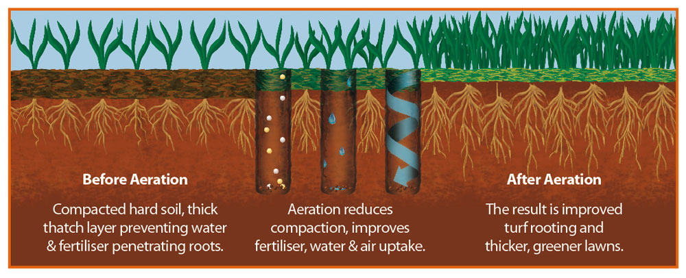 aeration-diagram-innovationgroundstexas