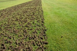 core-aeration-texas-services