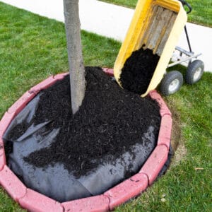 mulching-for-this-season-innovation-grounds-