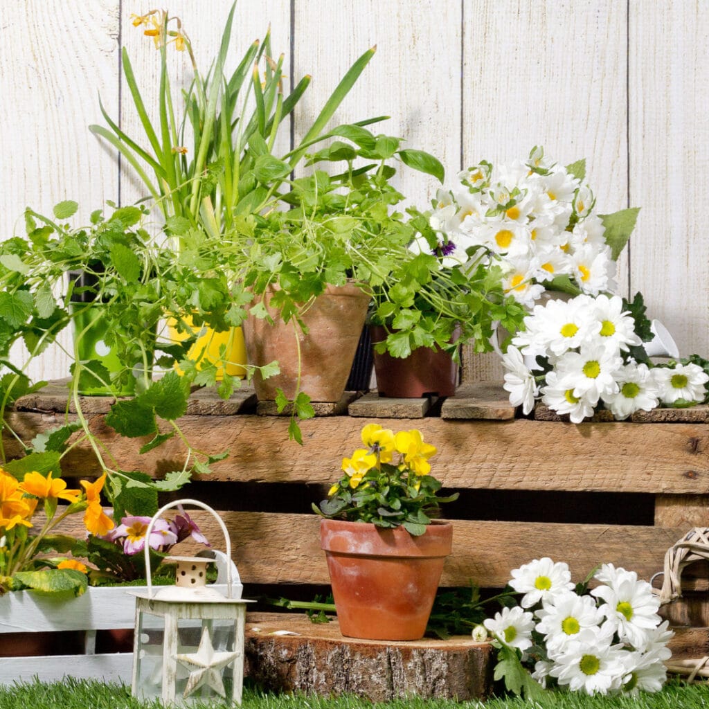 gardening tips for your spring garden 4