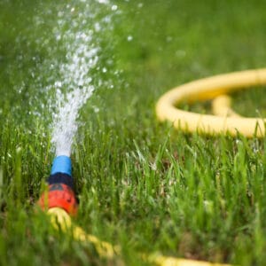 watering-your-lawn-is-important-during-winter