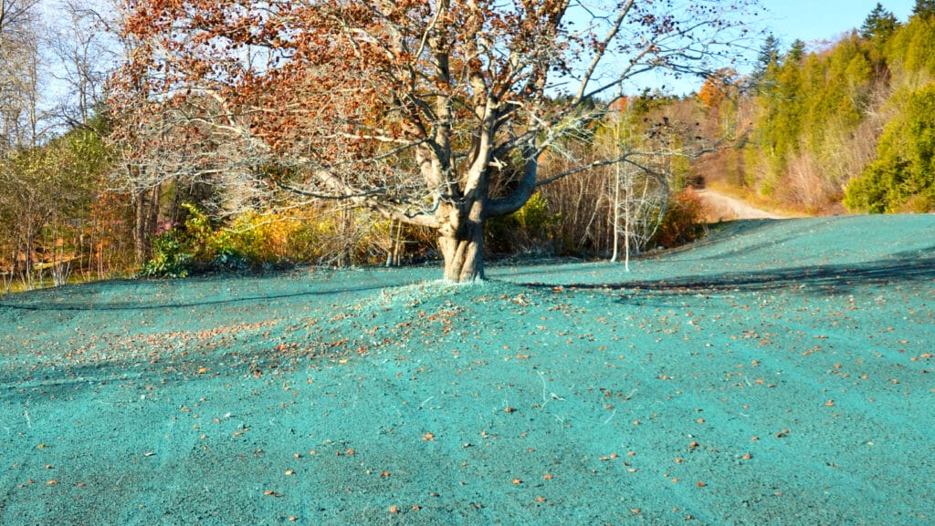 hydro seeding in austin texas by innovation grounds