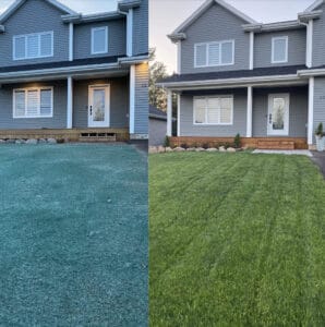 before-after-hydroseeding