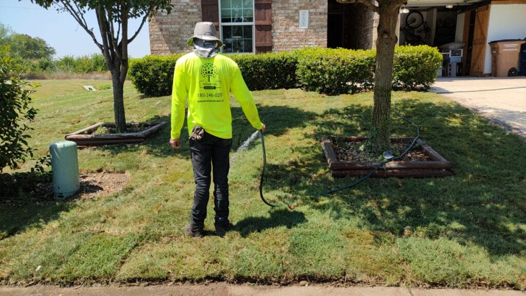 lawn care in austin texas by innovation grounds