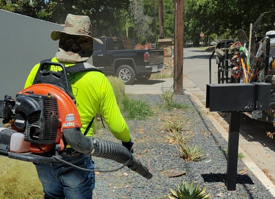 lawn care packages in round rock texas