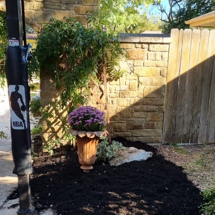 landscaping professional services in brushy creek