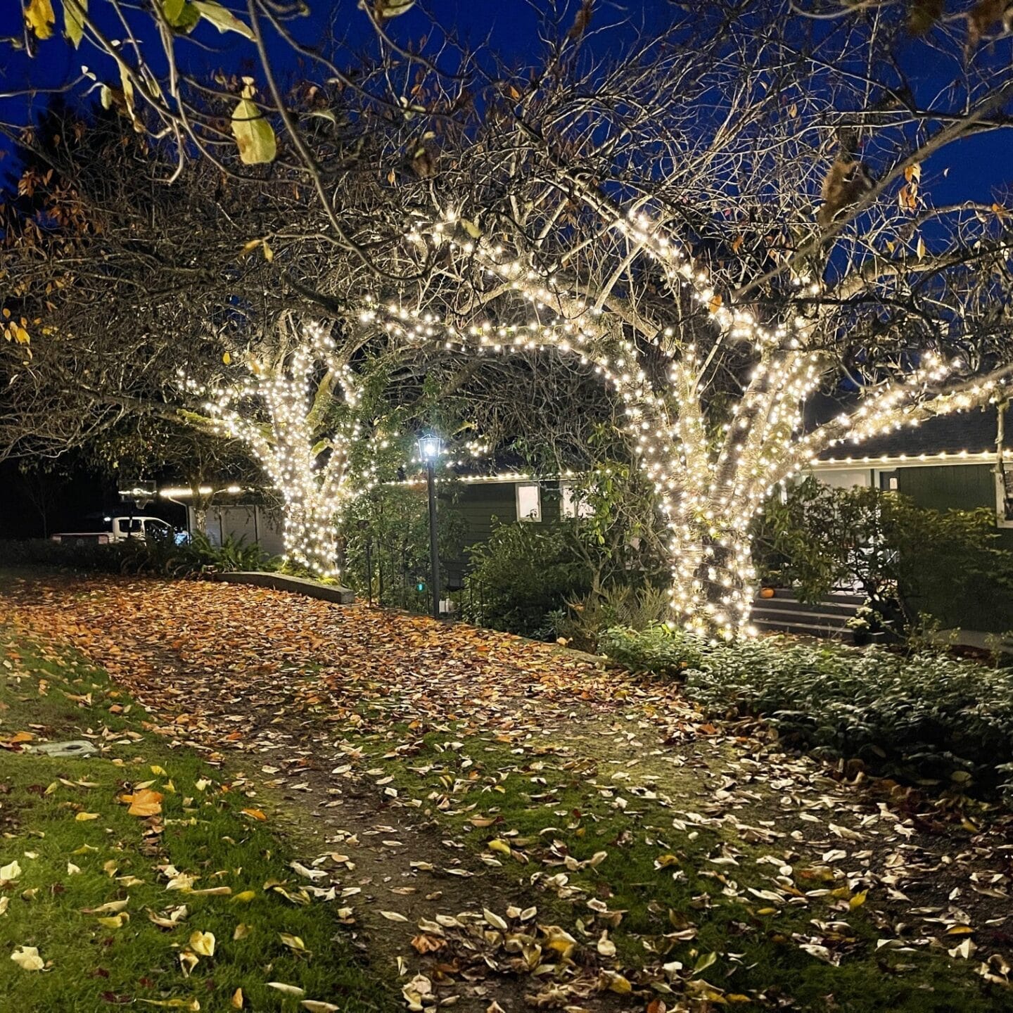 outdoor lights installation in riverton utah by innovation grounds