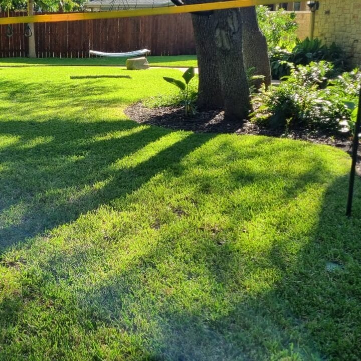 lawn care services in lago vista texas by innovation grounds