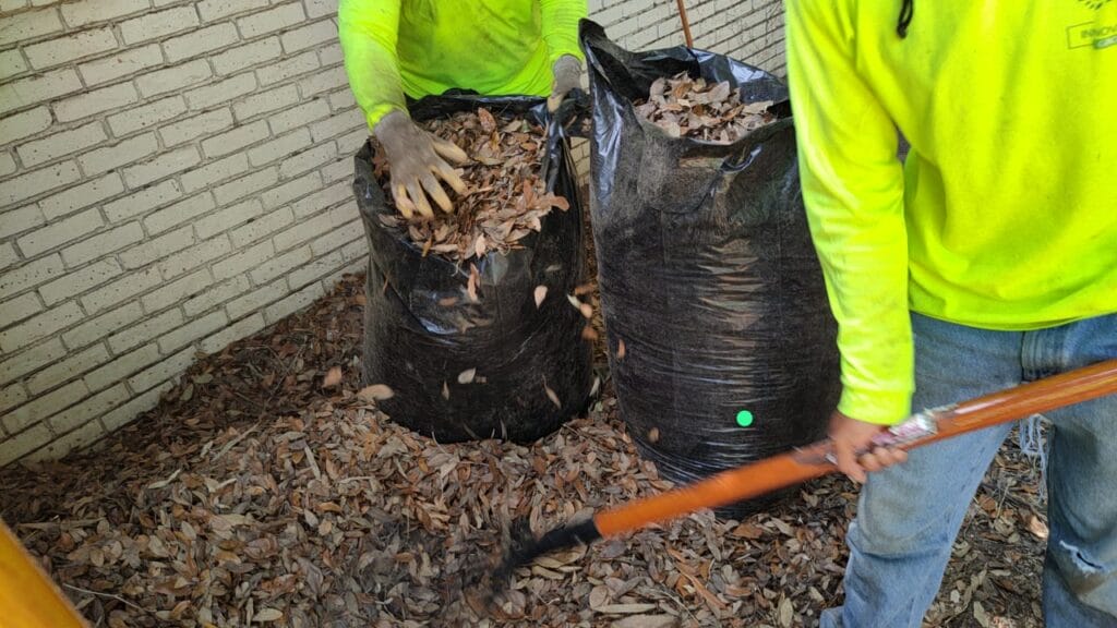 leaf cleanup in springville utah