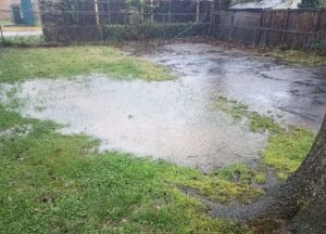 drainage_issues_in_a_lawn