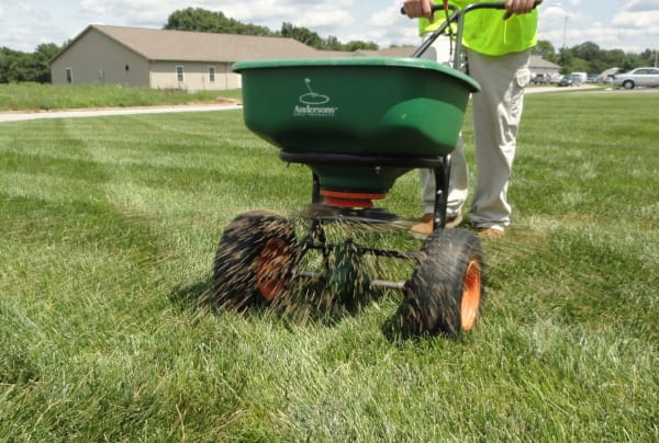 overseeding