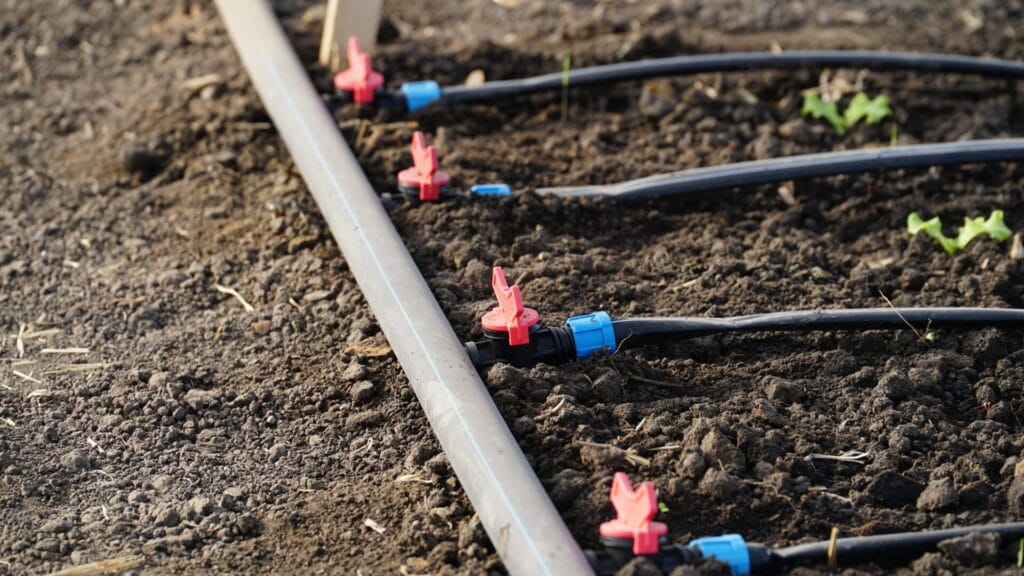 drip irrigation innovation grounds