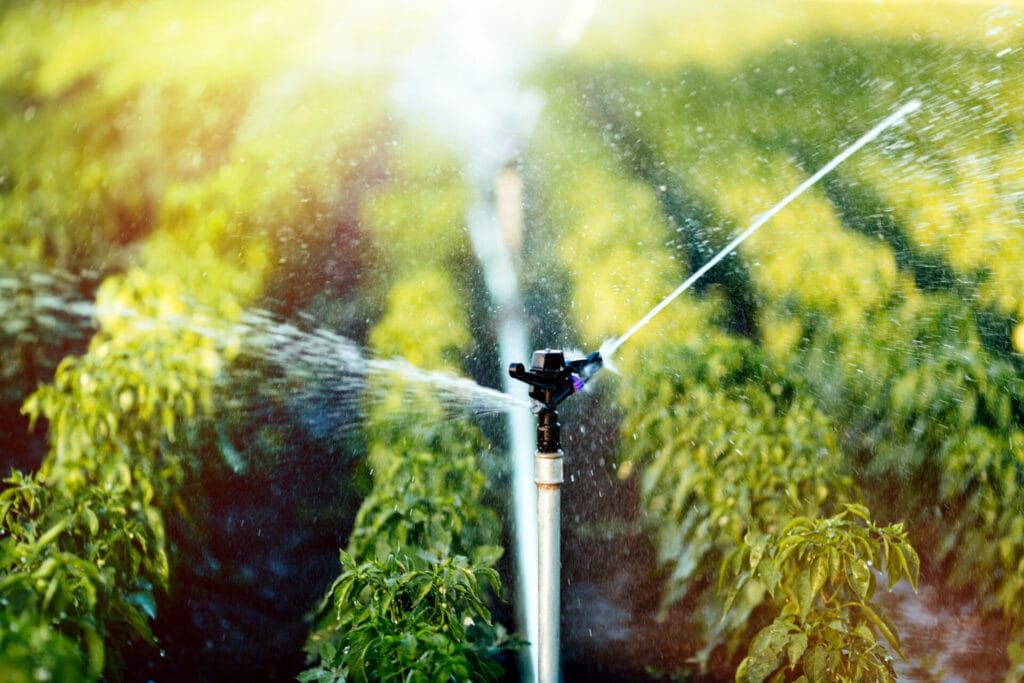 smart sprinkler innovation grounds