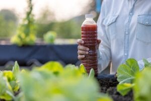 bio-fermented-water-innovation-grounds