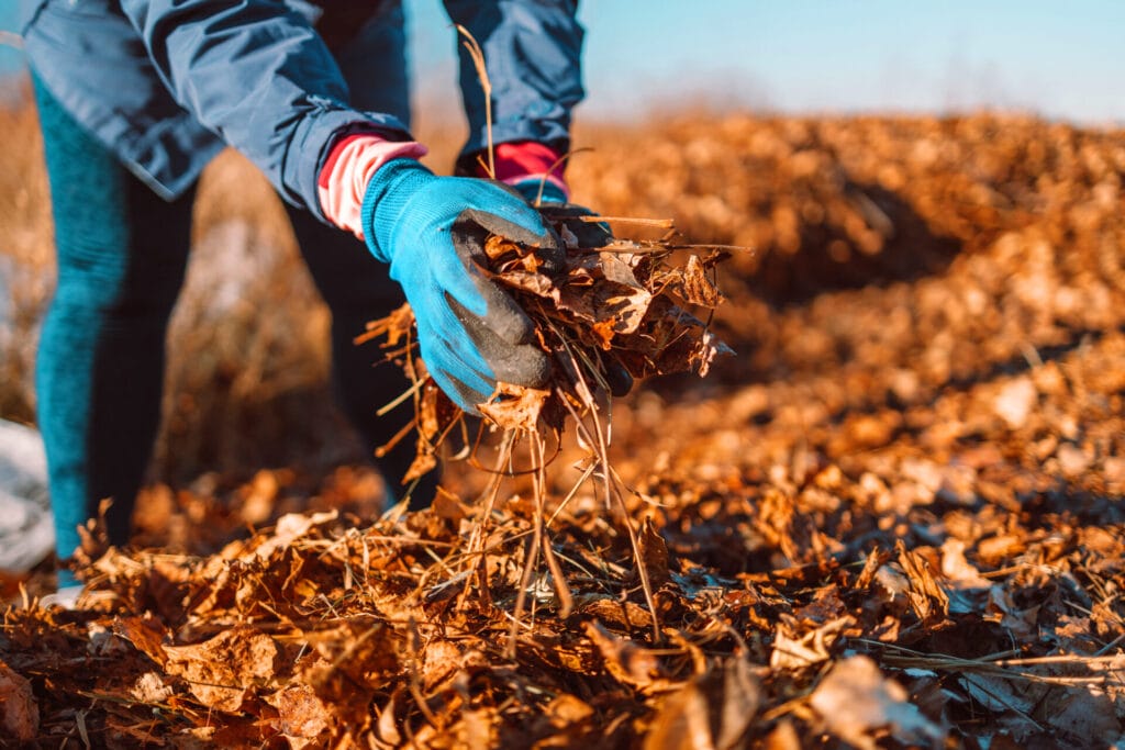 Benefits-of-mulch-innovation-grounds