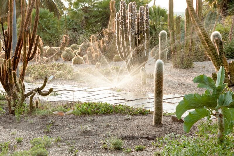 efficient-irrigation-system-for-xeriscape-landscapes