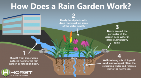 rain-garden-diagram