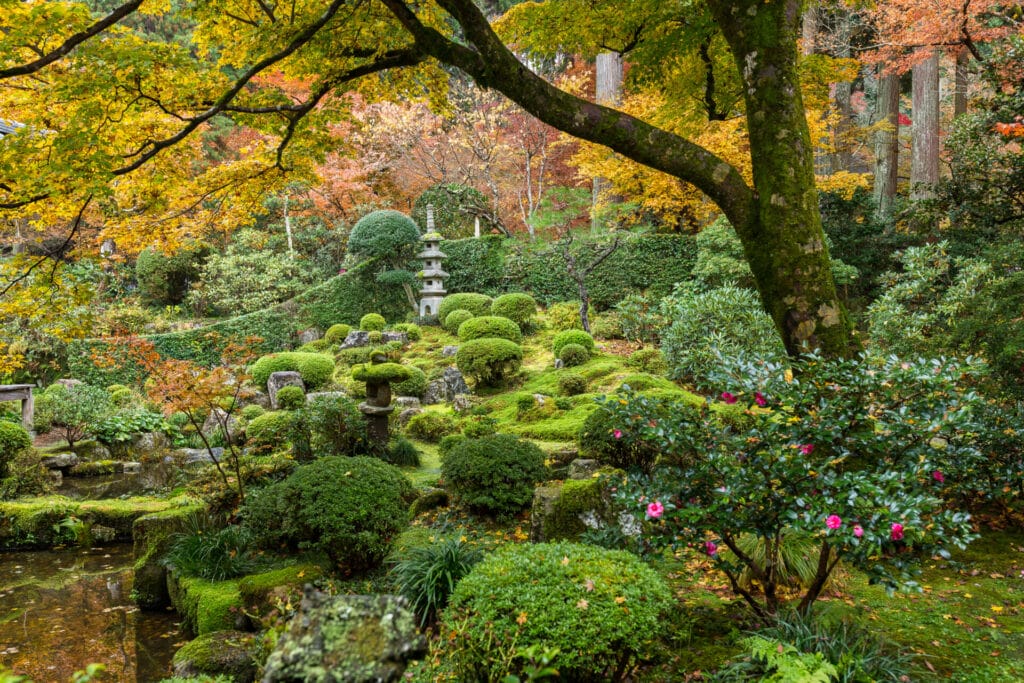 wabi-sabi-japanese-garden