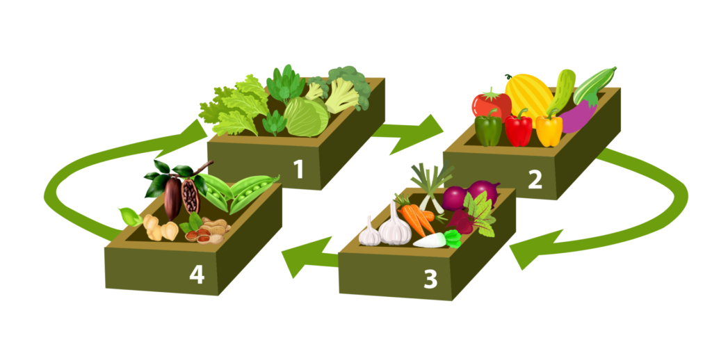 crop-rotation