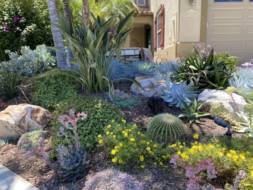 xeriscaped-garden-innovation-grounds