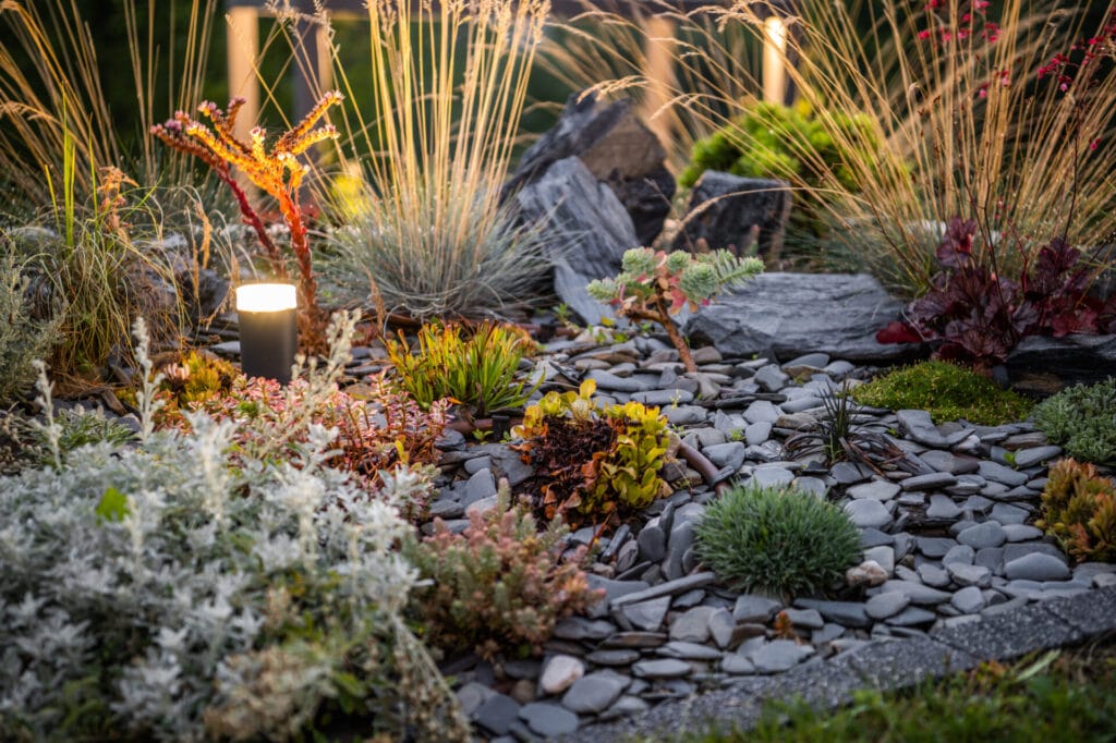 flowerbed-in-xeriscaped-garden