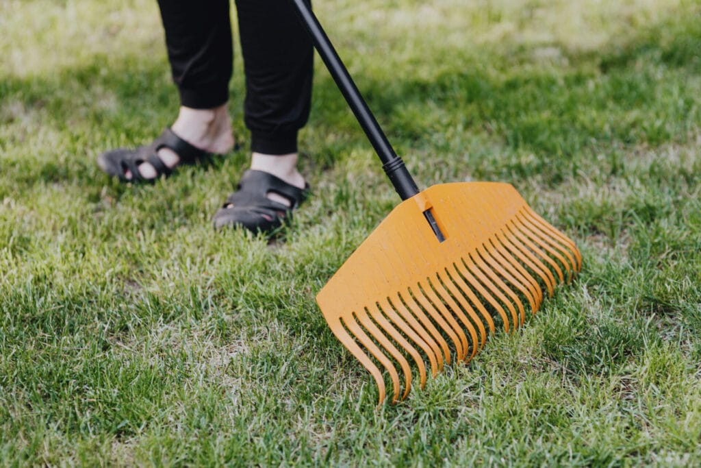 dethatching rake