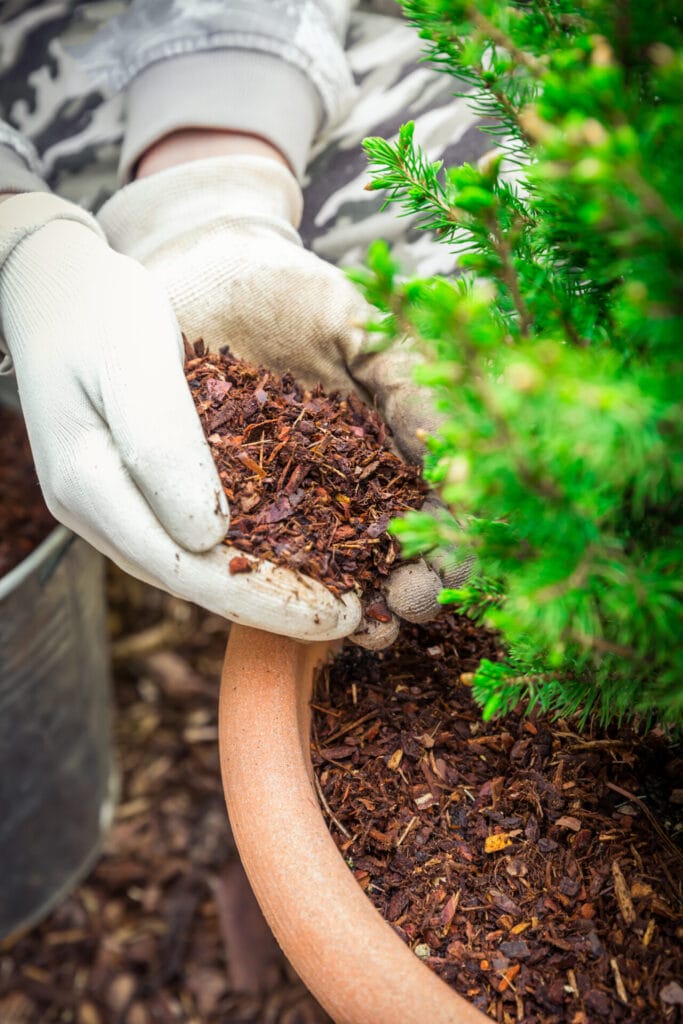 mulch-installation-pine-bark-innovation-grounds