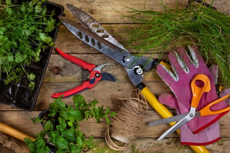 pruning-tools-innovation-grounds