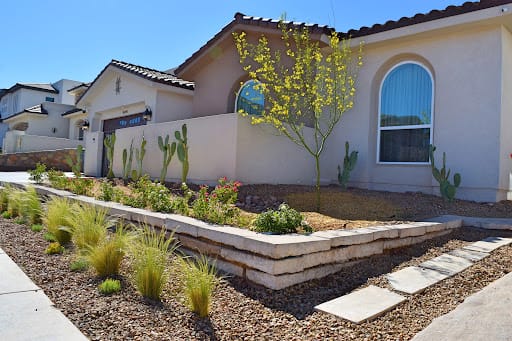 high-desert-native-plants