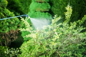 weed-control-services-herbicides-innovation-grounds