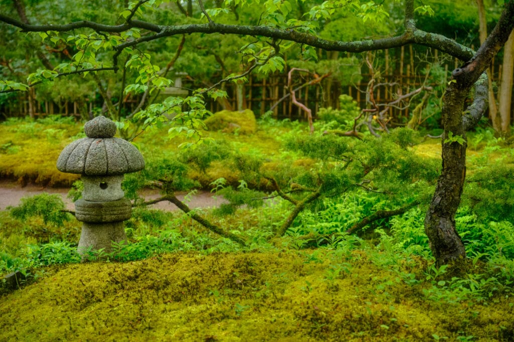 moss-garden-japanese-garden