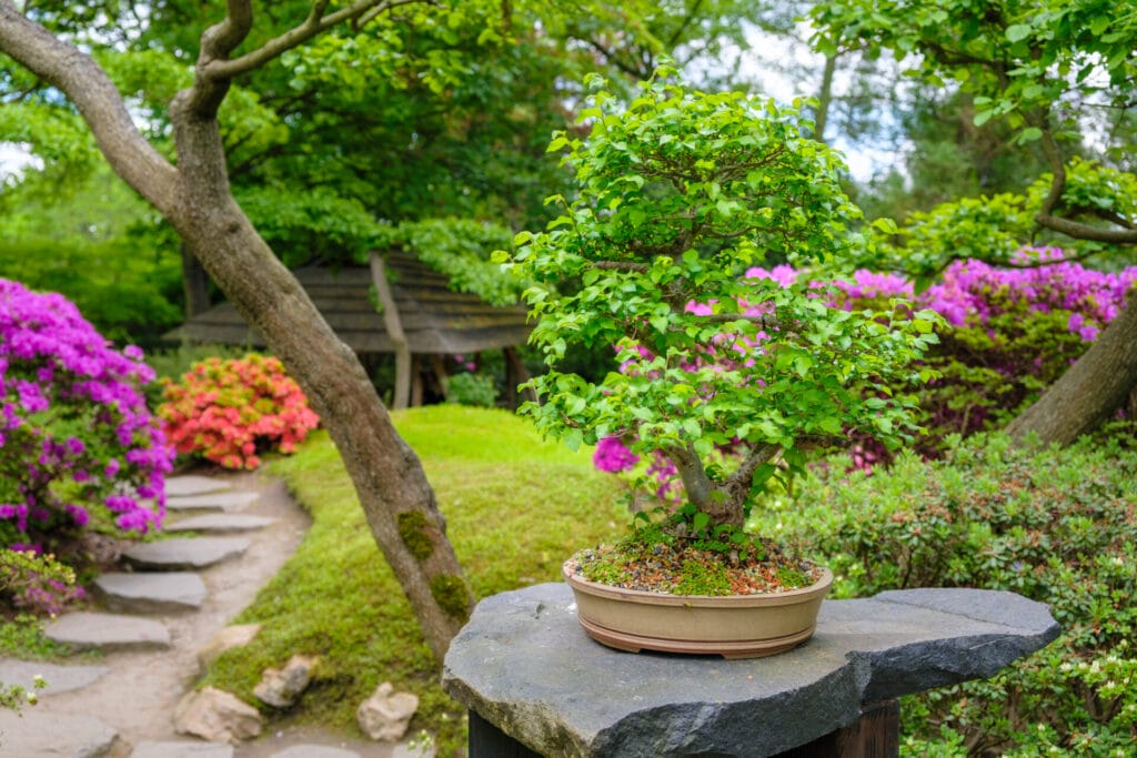 ikebana-japanese-garden