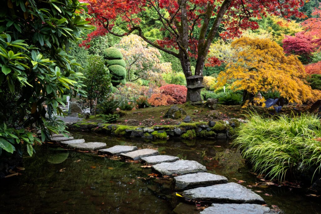 pathway-japanese-garden