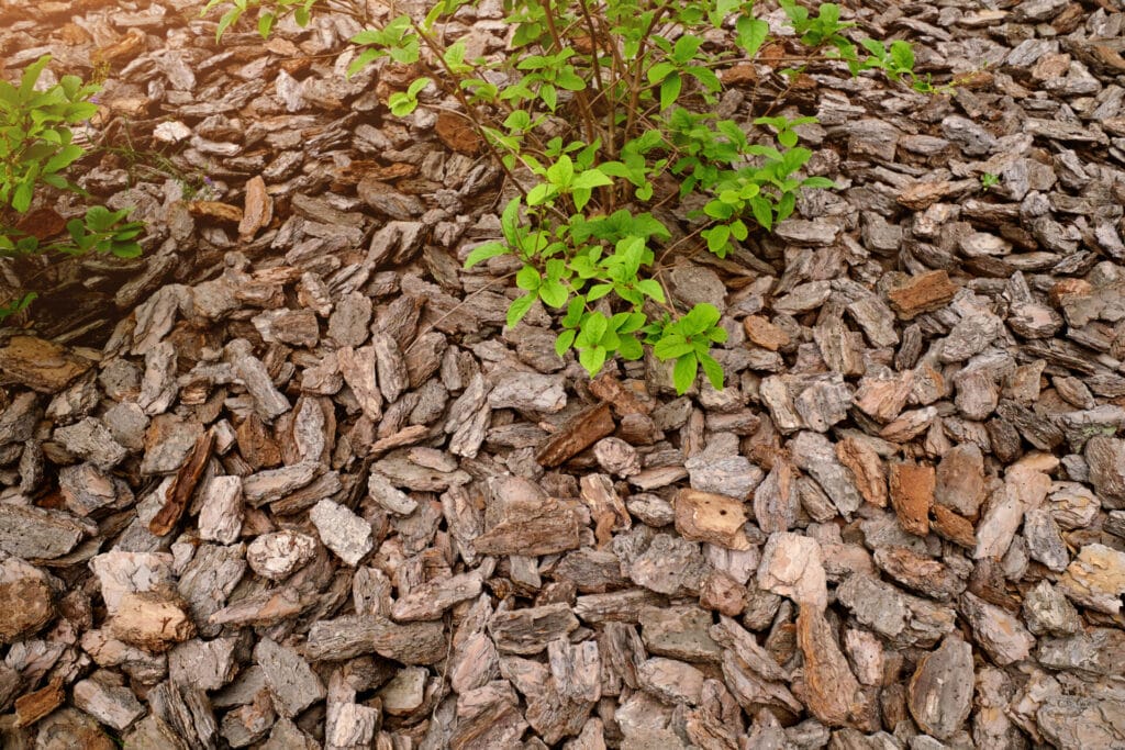 bark-mulch-innovation-grounds