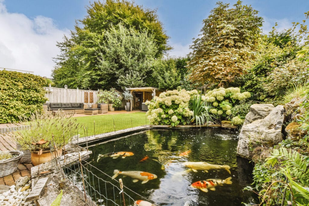 koi-pond-japanese-backyard