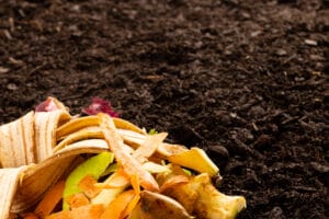 garden-compost-vs-mulch-innovation-grounds