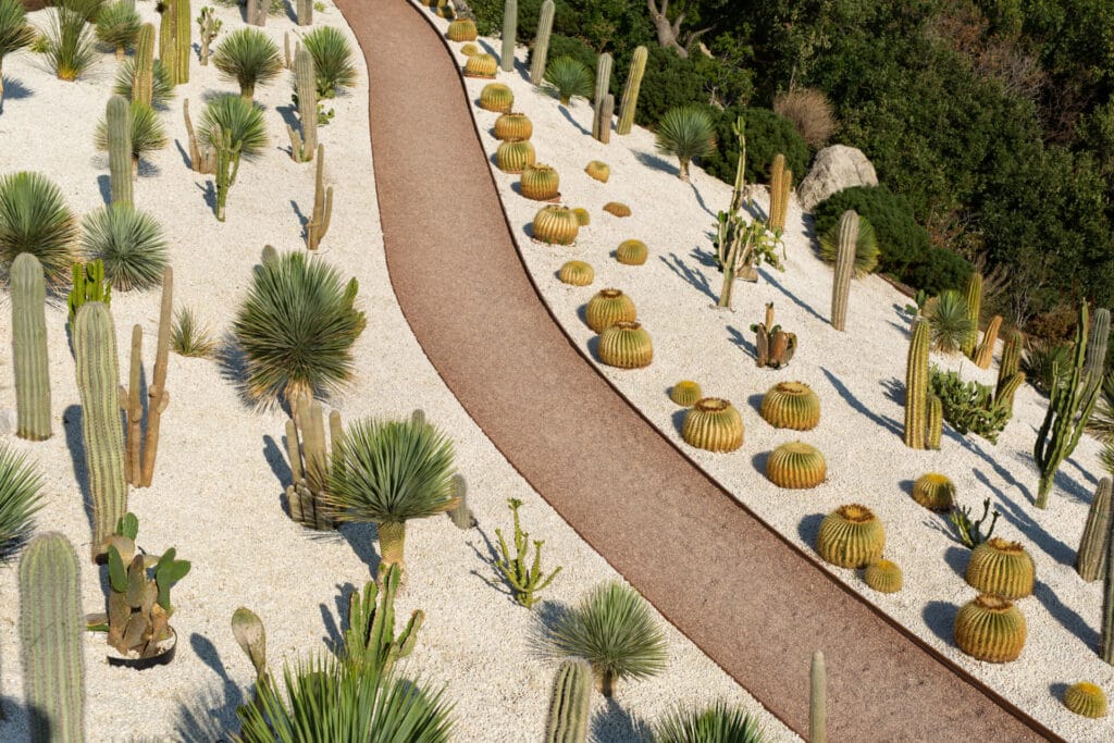 xeriscaping-innovation-grounds