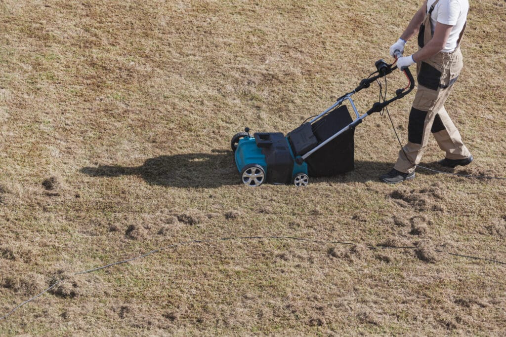 dethatching-mistakes