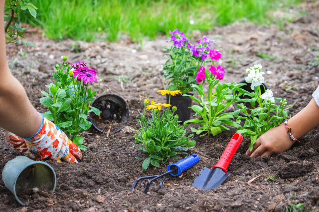 companion-planting-innovation-grounds