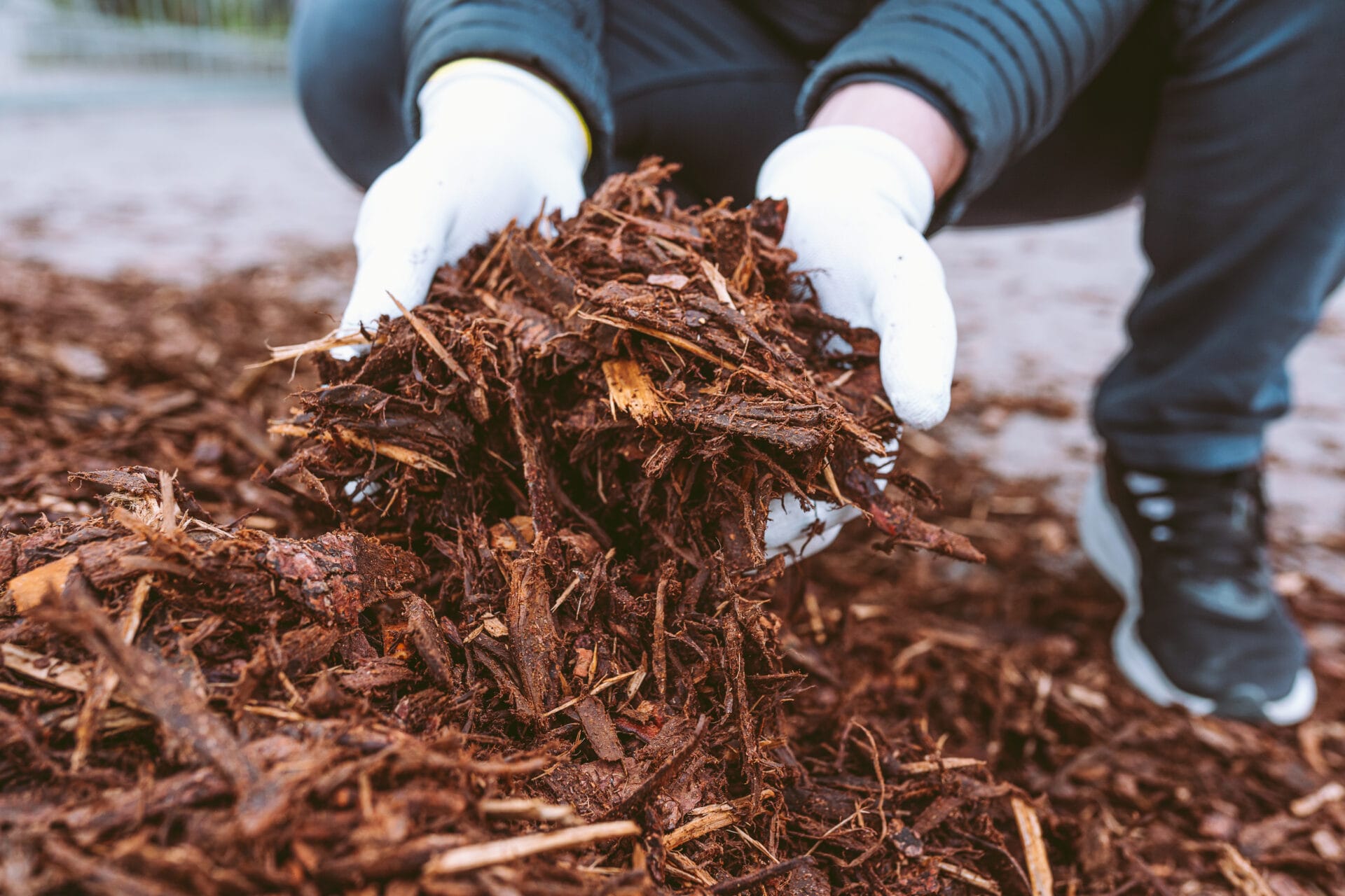 wood-chips-mulch-innovation-grounds