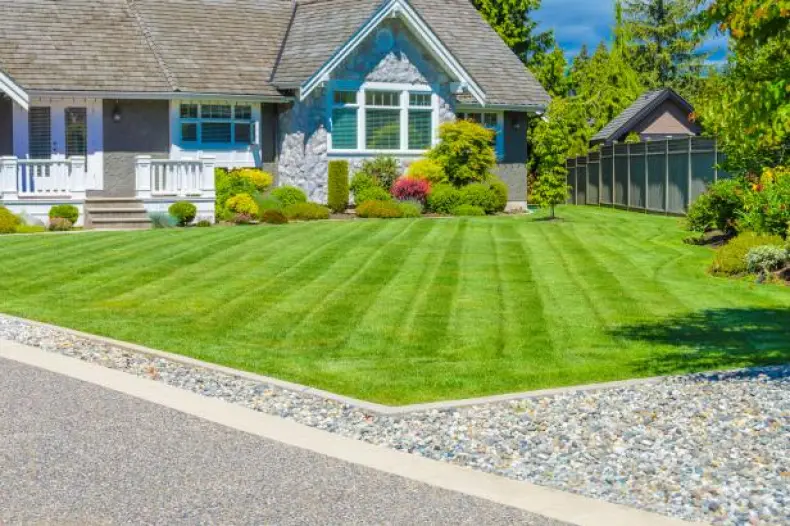 professional mowing services in austin texas